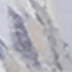 متعدد الألوان 12008