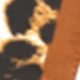 Rust Brown