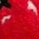 trắng