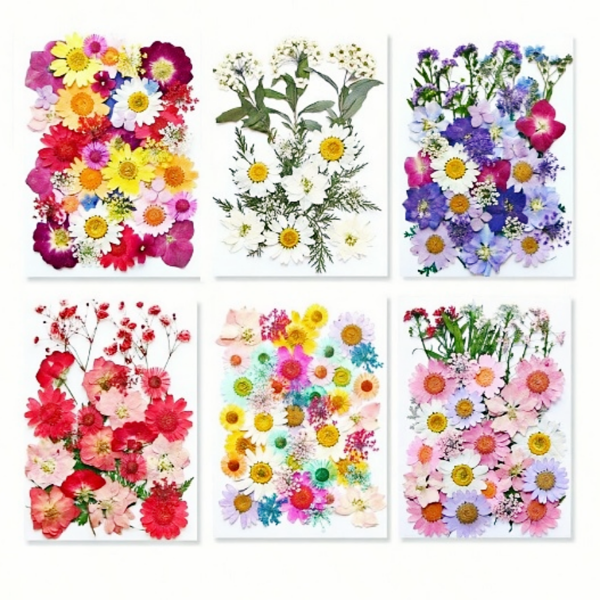 42pcs Colorful Assorted Natural Dried Flowers, Suitable For Nail Art, Candle Making, Resin Crafts, Resin Mold Filler DIY