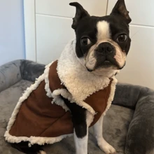 1pc Coffee Brown Suede Cotton Fleece Pet Clothes Jacket Coat Suitable For Small & Medium Cats/Dogs Autumn Winter - Coffee Brown - View 4