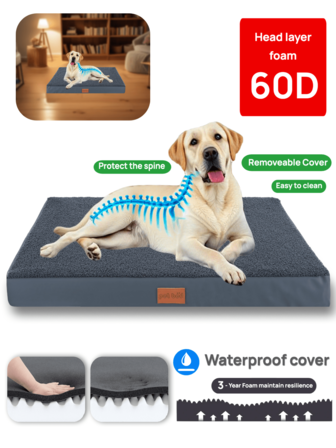 1 pezzo Letto ortopedico per cani - Letto per cani e gatti lavabile di grandi dimensioni, letto in memory foam con riempimento in spugna, per cani e gatti di taglia grande, media e piccola in tutte le stagioni. SUPERFICIE CALDA E SOFFICE - Il letto per cani è progettato con un top in peluche di lusso e un fondo antiscivolo, offrendo una comodità extra per far dormire i cani in modo confortevole.