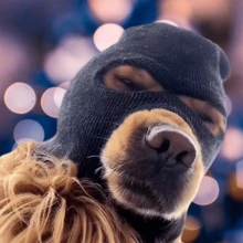 宠物狗黑色连帽搞笑面具 - 具有噪音保护功能的狗耳罩，针织狗耳朵保暖帽，狗强盗和小偷面具，适合搞笑宠物角色扮演。专为罗威纳犬设计（适合短头犬），适合 30 磅 - 55 磅。非常适合万圣节和各种节日。 - 黑色 - 查看 2