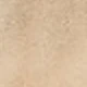 Aprikoosi
