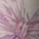 Hồng