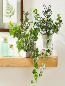 2 件植物攀爬架盆栽植物、攀爬植物和可堆叠植物架盆栽花架兰花玫瑰人造植物架塑料架 - 黑色 - 查看 6