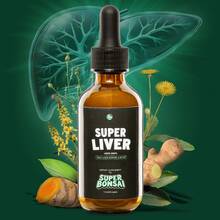 Abronikey SuperBonsai Super Liver Support | Milk Thistle Liquid Herbal Supplement | Plant-Based Daily Wellness Formula | 9-Month Supply - 3瓶 - 查看 4