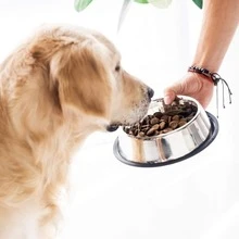 1 件不锈钢宠物碗，防溢加厚防滑银色不锈钢狗/猫食水碗，易于清洁，多种尺寸（直径：15 厘米、18 厘米、22 厘米）可选 - 彩色 - 查看 3