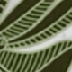 Green and White