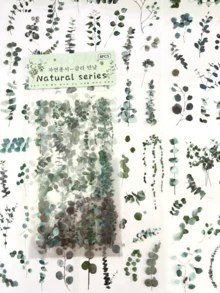 1 包 6 件复古桉树叶和花卉 PVC 防水装饰贴纸，学校用品，返校