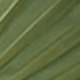 彩色