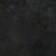 Negro 3