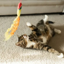 Parrot Teaser Wand Cat Toy With Catnip, Multicolor, 18"