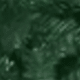 Zielony