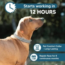 Adjustable   Collars,Small Dog Vet-Recommended Flea ,Tick Treatment  And Prevention Collar For Dogs And Cat,8 Months Protection - 1 Pcs - View 5