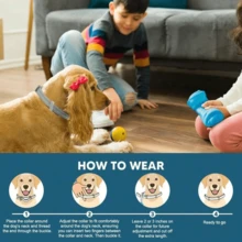 Adjustable   Collars,Small Dog Vet-Recommended Flea ,Tick Treatment  And Prevention Collar For Dogs And Cat,8 Months Protection - 1 Pcs - View 4