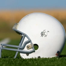 Lustiger mittelalterlicher Ritter-Hase, der auf einem Löwen reitet, Vinyl Aufkleber - verspieltes Fantasy-Design mit Schwert & Schild, Vinyl für Handyhüllen, Laptops, Koffer, Schutzhelme, Trinkgläser - einzigartiges Geschenk