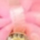 Hồng