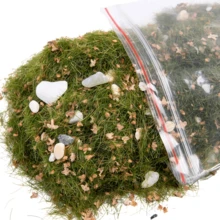 30G Model Scene Static Grass Cluster Powder Stone And Leaves Materials Diy Landscape Building Sand Table Layout Garden Decorate - As Photo - View 7