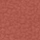 Rosa coral