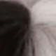 Black Highlight