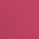 Rosa Fucsia