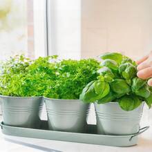 Indoor Herb Planter Set With Tray - Metal Windowsill Pot With Drainage & Plug For Outdoor Garden, Light Green