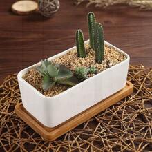 6.69 Inch Ceramic White Rectangular Succulent/Cactus Planter With Bamboo Tray (Set Of 1)