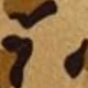 棕色