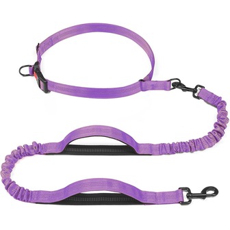 Hands-Free Dog Leash Set With Waist Belt, Reflective Bungee Leash & Padded Handle For Running/Walking