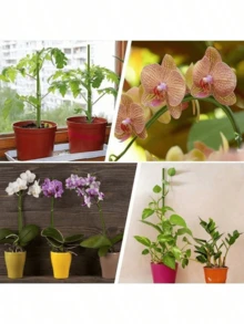 10-100个装 - 柔性植物支架 - 塑料支撑，仿橡胶袋玫瑰杆金属网花手工DIY花卉材料绿色铁丝假花枝，适用于室内外花卉和花园植物，耐用竹制植物支架提供强力支撑 - 彩色 - 查看 4