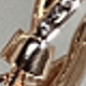 Oro rosa