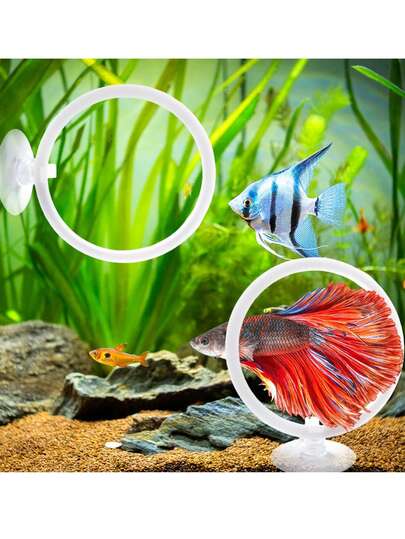 Betta Fish Training Ring And Filter Ball Set, Betta Fish Training Ring With Suction Cup And Nitrification Ball Fish Tank Betta Fish Toys, Tiger Fish Aquarium Exercise Toys, Aquarium Decoration Supplies, Fish Tank Accessories Feeding Ring, Made Of Sturdy Plastic, This Betta Fish Exercise Ring Can Be Immersed In Water For A Long Time, Ensuring Its Reliable Performance And Durability, Suitable For Most Small, Medium And Large Aquariums, White