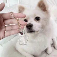 1 Stück Hunde-Haar Erinnerungsstück Schlüsselanhänger, transparenter Schlüsselanhänger-Anhänger zum Aufbewahren des geliebten Haustierhaars, öffenbarer Mini-Urnenanhänger für Haustierasche oder -haar, tragbares Erinnerungsgeschenk für den Verlust des Haustieres für Hundeliebhaber - Weiss - Übersicht 4