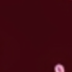 彩色