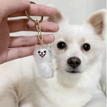 1 Stück Hunde-Haar Erinnerungsstück Schlüsselanhänger, transparenter Schlüsselanhänger-Anhänger zum Aufbewahren des geliebten Haustierhaars, öffenbarer Mini-Urnenanhänger für Haustierasche oder -haar, tragbares Erinnerungsgeschenk für den Verlust des Haustieres für Hundeliebhaber - Weiss - Übersicht 8