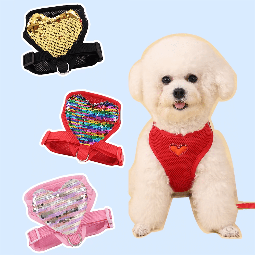 1 Stück Brust- und Rückenleinen Haustierzubehör, Liebes-Gurt-Tasche Brustgeschirr für kleine Hunde Weste Stil atmungsaktiv für Hunde/Katzen