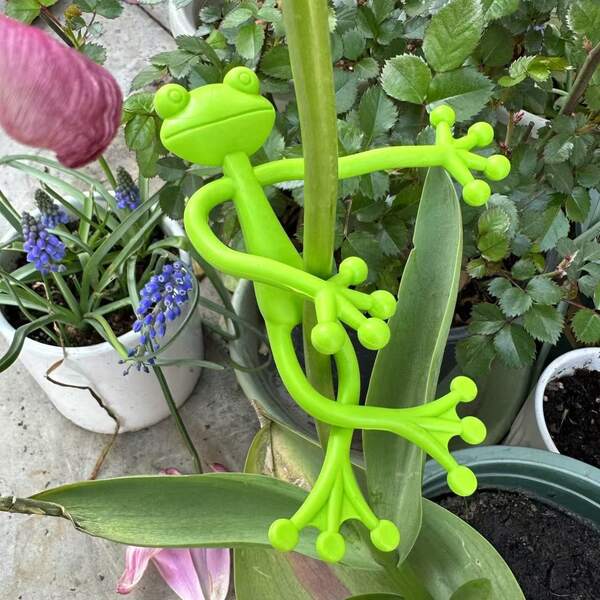 1/5pcs Creative Frog Shaped Plant Stand, Climbing Plant Fixture Clips, Plastic Green Frog Plant Support, Adjustable Flower Holder Stable Support For Small Potted Plants & Succulents For Indoor Outdoor Garden Decorations