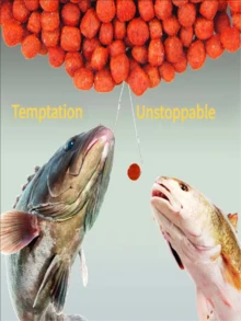 1 Frasco de Partículas de Isca de Pesca Vermelha - Isca de Pesca/Vara Manual/Atrativo para Vara de Pesca, Adequado para Baixo e Carpa como Isca Universal, Aditivo de Isca para Carpa-Prateada, Carpa-Capim e Brema, Isca Fácil de Usar, Isca Granulada, Isca de Longa Duração, Sem Necessidade de Abrir a Isca para Usar o Anzol, Trazendo Diversão de Pesca Explosiva, Isca de Carpa, Conjunto de Iscas de Pesca, Isca de Truta, Diversão de Pesca Explosiva - Suprimentos de Pesca - Vermelho - Visão 10