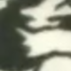 彩色