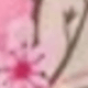 櫻花