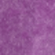 Màu Lilac Tím