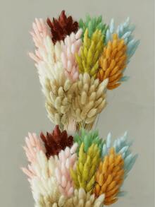 30/60 Pcs Pampas Dried Flowers, Dried Pampas Grass Feathers Decoration, Natural Dried Flowers, Reed Flower Stems Bundle, Natural Dried Pampas Grass Branches, Gorgeous Flowers, Fluffy Dried Plants, Vase Fillers, Decorate Home, Kitchen, Garden Party, Photoshoot, Flower Arrangement, Vase Decoration, Suitable For Kitchen, Home, Boho Decoration,Room Decor,Christmas,Christmas Decoration - Primary Color - View 10