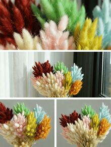 30/60 Pcs Pampas Dried Flowers, Dried Pampas Grass Feathers Decoration, Natural Dried Flowers, Reed Flower Stems Bundle, Natural Dried Pampas Grass Branches, Gorgeous Flowers, Fluffy Dried Plants, Vase Fillers, Decorate Home, Kitchen, Garden Party, Photoshoot, Flower Arrangement, Vase Decoration, Suitable For Kitchen, Home, Boho Decoration,Room Decor,Christmas,Christmas Decoration - Primary Color - View 9