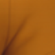 Negro, Blanco, naranja