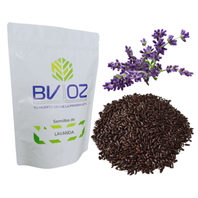 0.1g,  Semillas Lavanda, Uso Agrícola, Cultivo