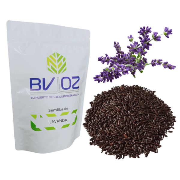 0.1g,  Semillas Lavanda, Uso Agrícola, Cultivo