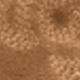YY-103