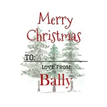 35pc Or 63pc Personalized Christmas Stickers, Supporting Text Customization, With A Size Of 4x4 Cm, Made Of PVC Material, Waterproof And Wear-Resistant, Suitable For Various Occasions.