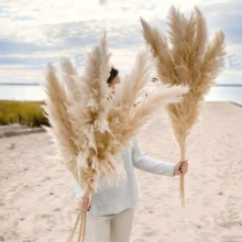 10/15/20 Bunches 39 Inch Tall Fluffy Natural Pampas Grass Bundles - Bohemian Farmhouse Wedding Arch & Home Decor, Christmas/Valentine's DIY Vase Filler, Living Room/Bedroom/Party Decoration, Floral Arrangement, Gift Wrapping, Shedless (Container Not Included) - Multicolor - View 2